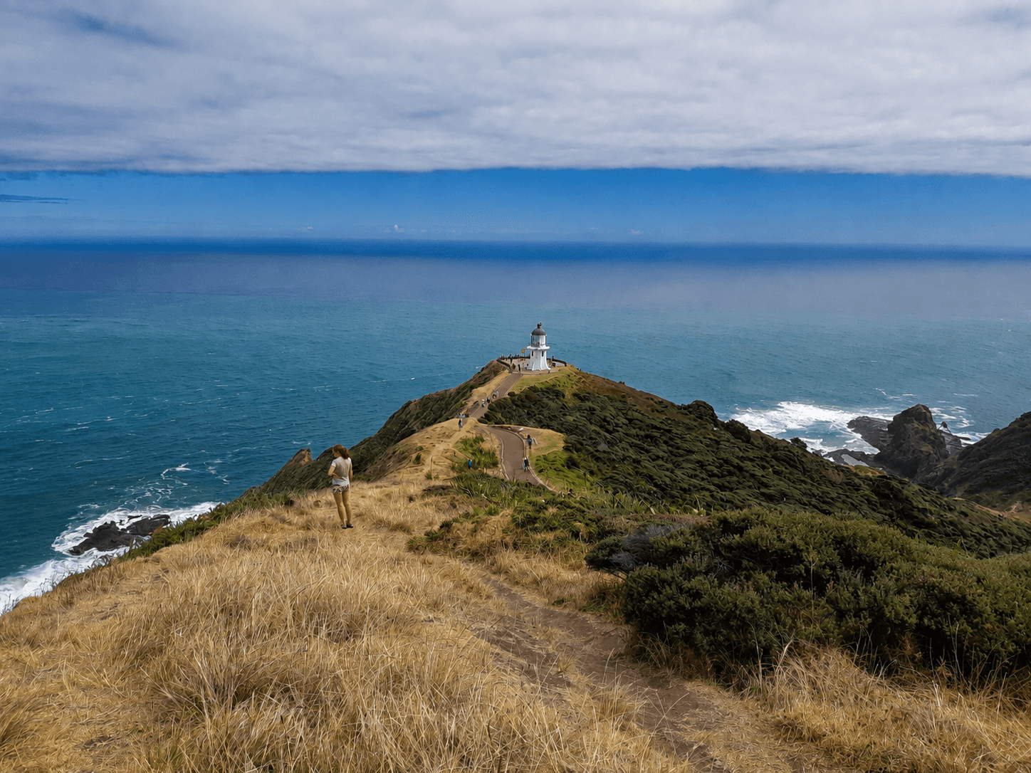 The coastal ride out to Pencarrow lighthouse