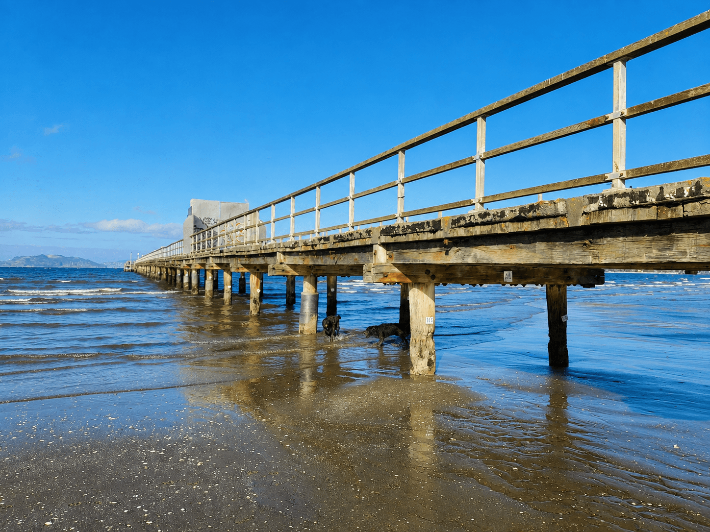 Petone wharf