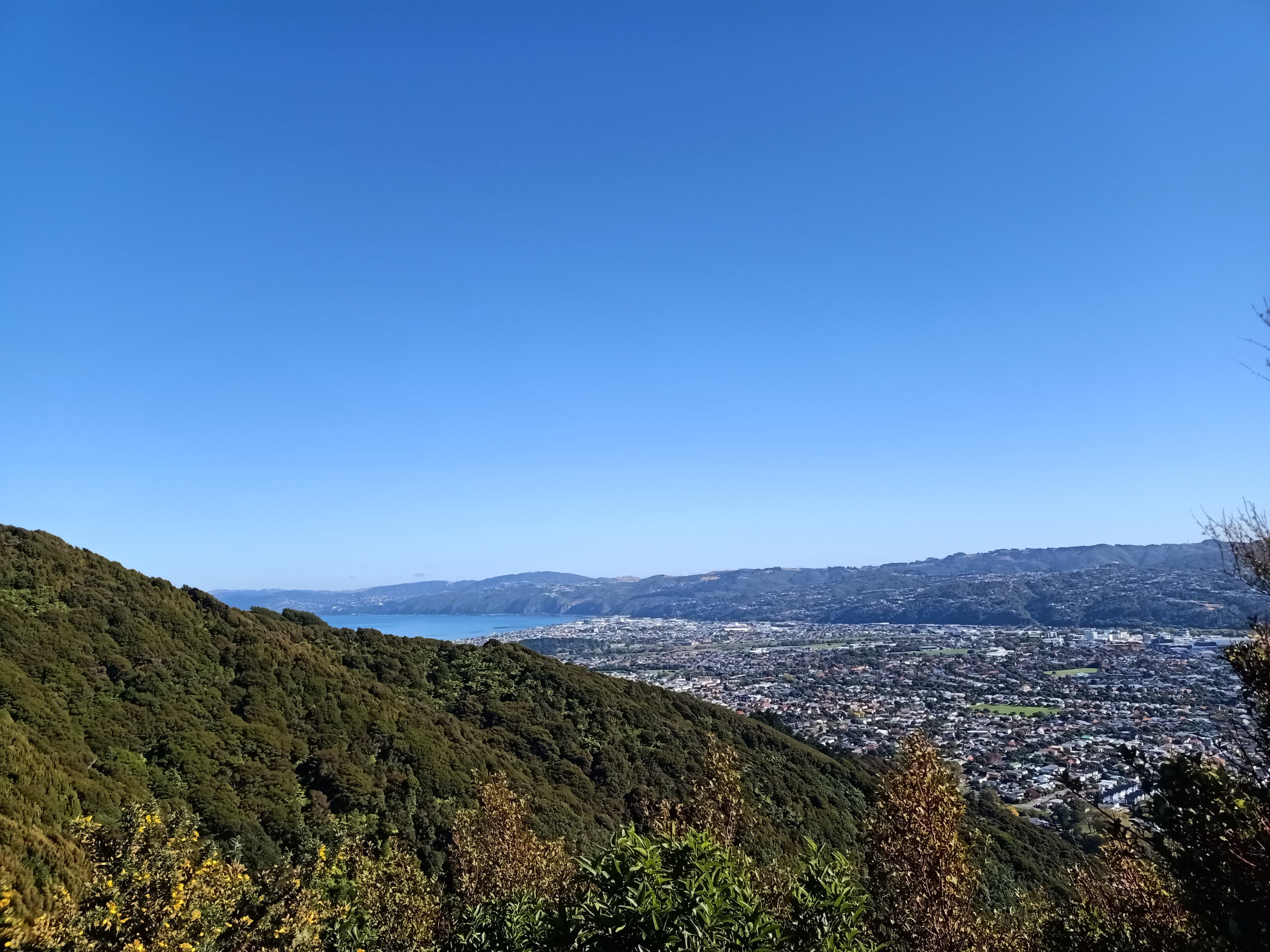 View from Te Whiti Riser