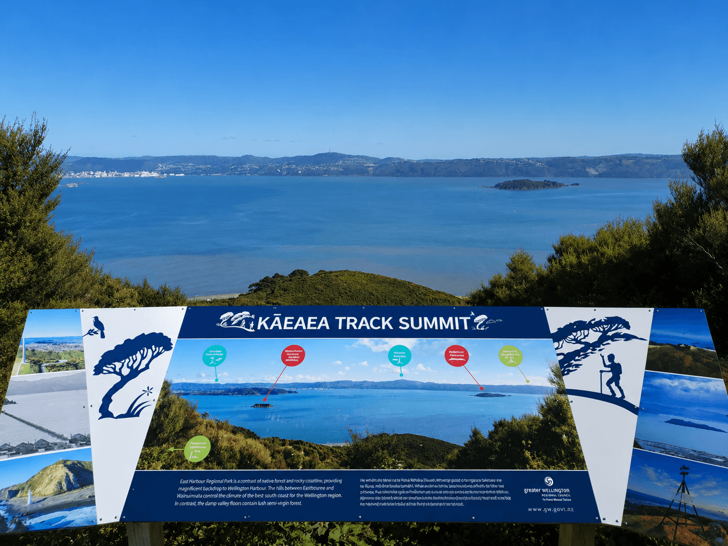 View from the track summit over Lower Hutt and the harbour