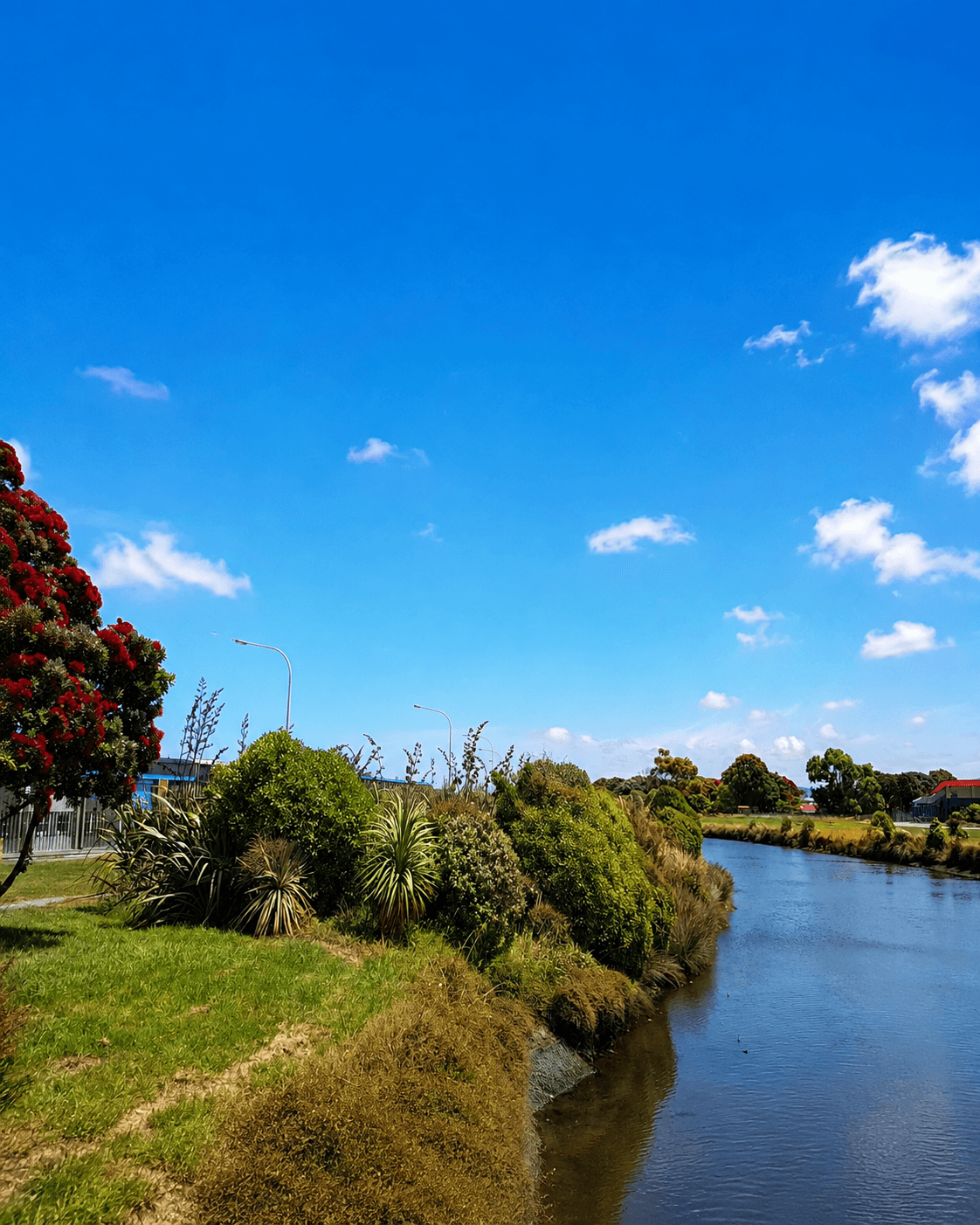 The Waiwhetū Stream trail