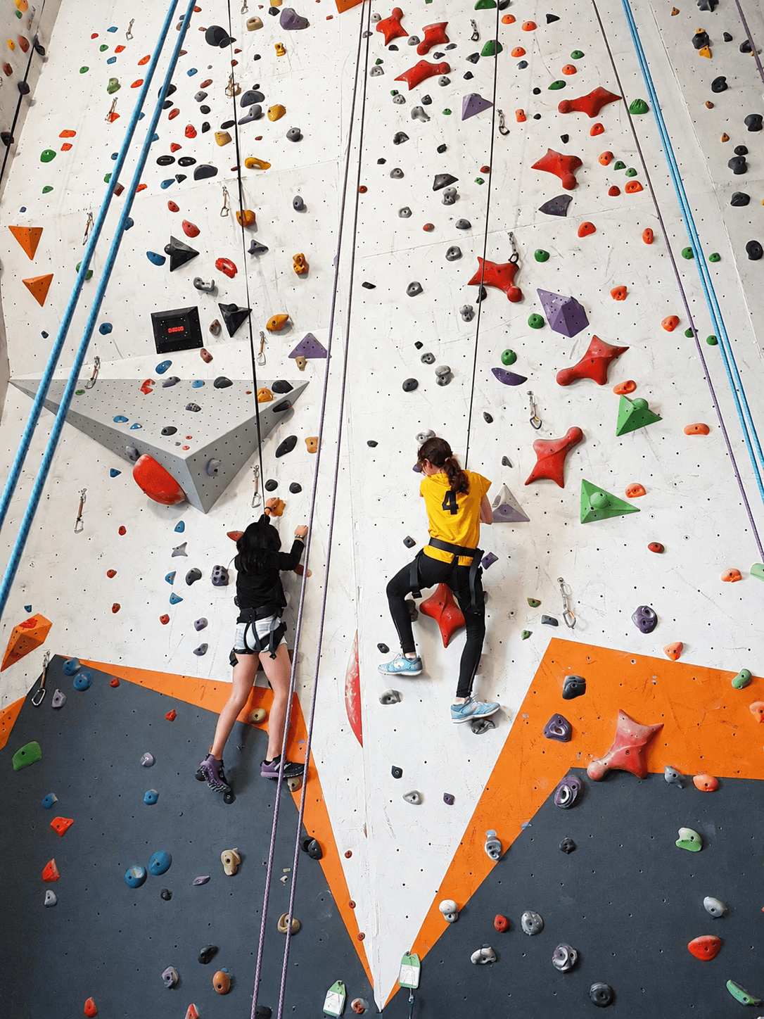 Rock climbing at Hutt Park Indoor Sports