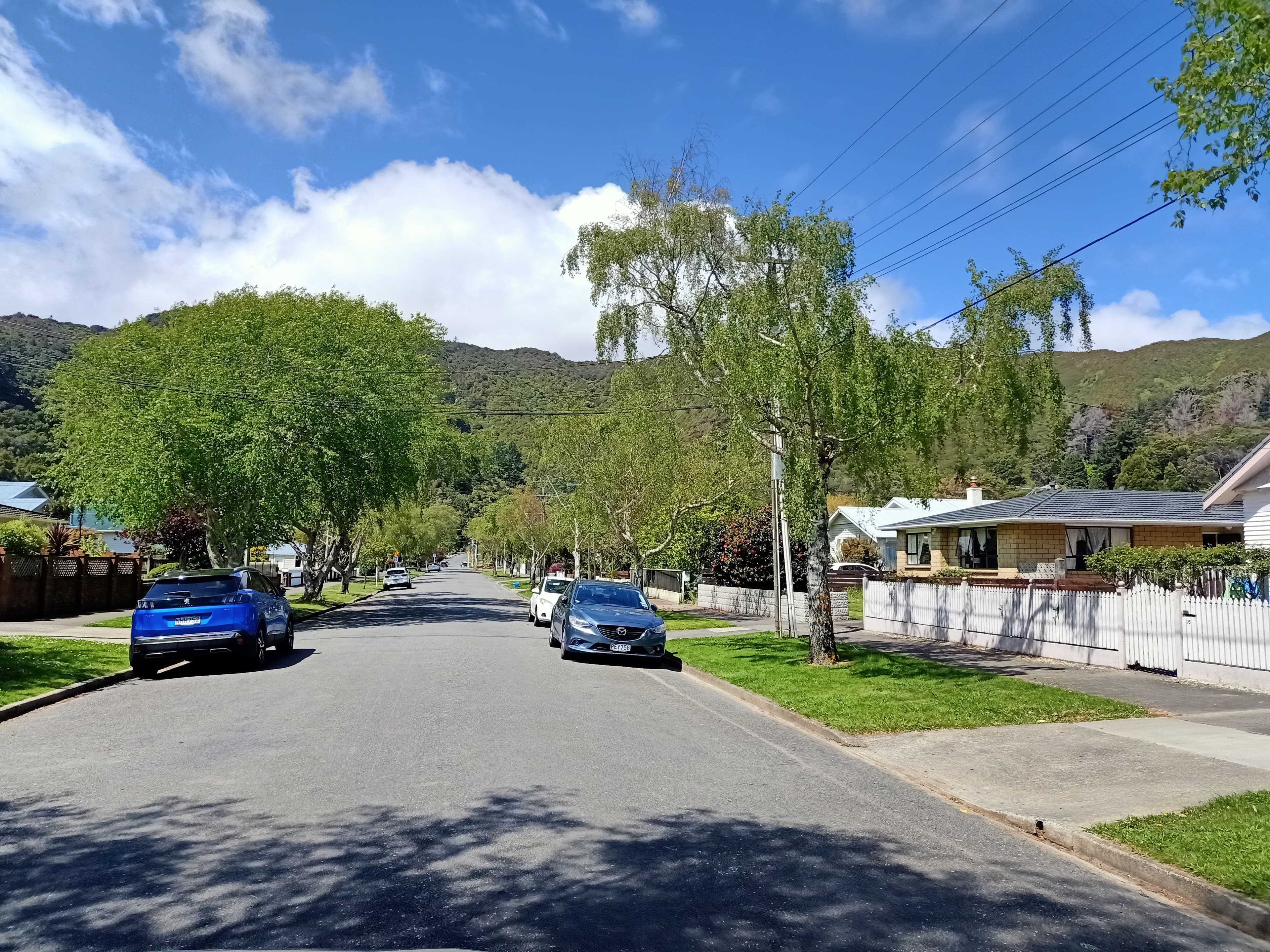 Our leafy street, looking towards the hills
